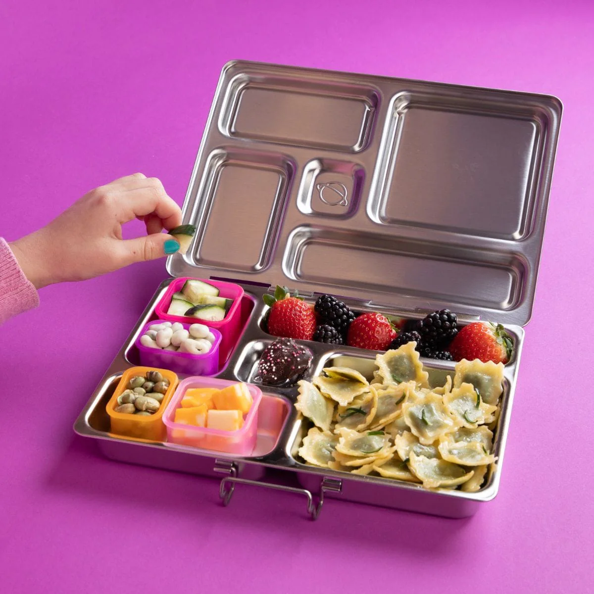 Pod 4 Pack - Rover - Image 4