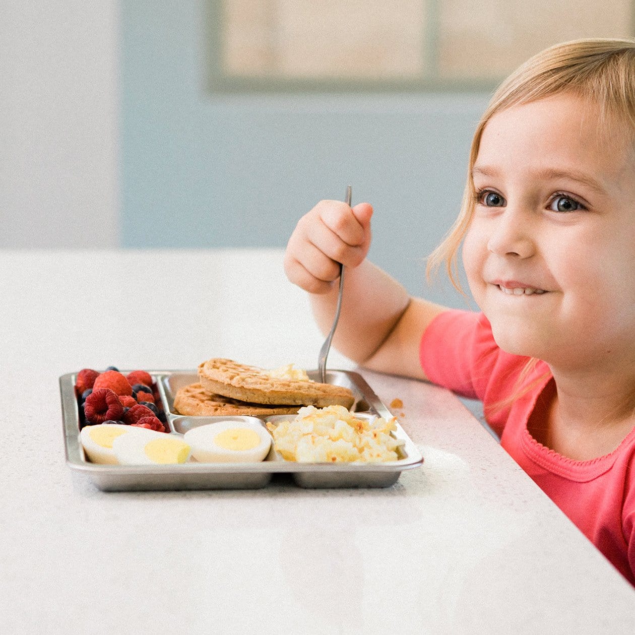 Rover Stainless Steel Tray - Image 4
